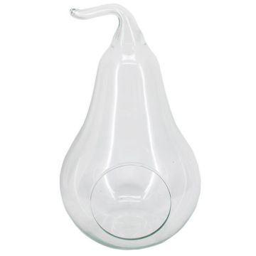 Pflanzen Terrarium YVIE in Birnenform, Glas, klar, 31cm, Ø19cm Pflanzen Terrarium YVIE in Birnenform, Glas, klar, 31cm, Ø19cm