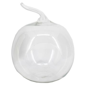 Pflanzen Terrarium YVIE in Apfelform, Glas, klar, 24cm, Ø19cm Pflanzen Terrarium YVIE in Apfelform, Glas, klar, 24cm, Ø19cm