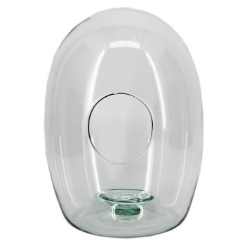 Pfalnzen Terrarium LYNASH, Glas, transparent, 30cm, Ø23cm Pfalnzen Terrarium LYNASH, Glas, transparent, 30cm, Ø23cm