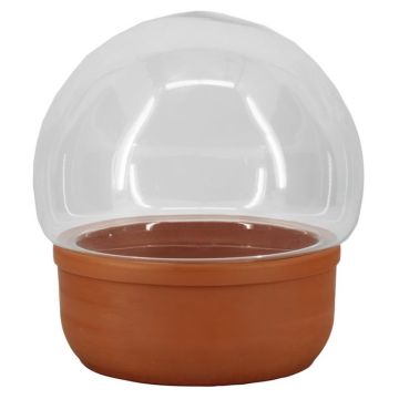 Glas Pflanzen Terrarium LUMIAN, Terrakottaschale, klar, 23,5cm, Ø25cm Glas Pflanzen Terrarium LUMIAN, Terrakottaschale, klar, 23,5cm, Ø25cm