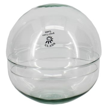 Glas Sukkulenten Terrarium BRYSON, Kugel, recycelt, klar, 19,5cm, Ø19,6cm Glas Sukkulenten Terrarium BRYSON, Kugel, recycelt, klar, 19,5cm, Ø19,6cm