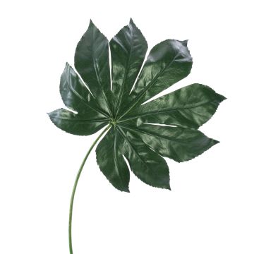 Kunstblatt Aralia FARIS, grün, 55cm