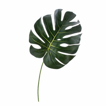 Kunstblatt Philodendron Monstera Deliciosa UMBERTO, 55cm