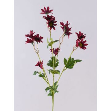Künstliche Margerite FENAS, dunkelrot, 65cm, Ø4-5cm Künstliche Margerite FENAS, dunkelrot, 65cm, Ø4-5cm