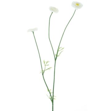 Dekoblumen Zweig Bellis NIKSA, creme, 55cm