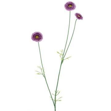 Dekoblumen Zweig Bellis NIKSA, dunkellila, 55cm Dekoblumen Zweig Bellis NIKSA, dunkellila, 55cm