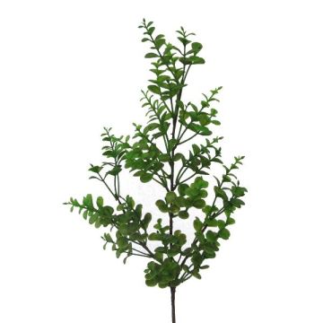 Dekozweig Eukalyptus PLERKO, grün, 60cm
