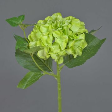 Künstliche Blume Hortensie VOSTE, grün, 45cm, Ø16cm