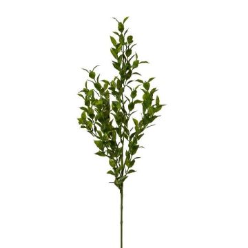 Dekozweig Mäusedorn SNERLO, grün, 70cm