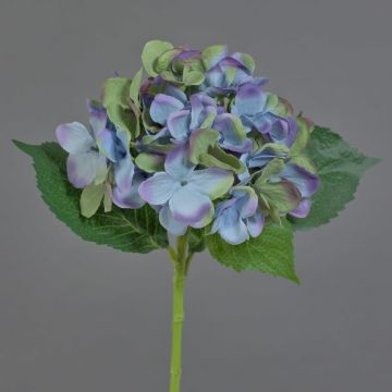 Hortensie unecht GABRIELLA, blau-grün, 50cm, Ø17cm