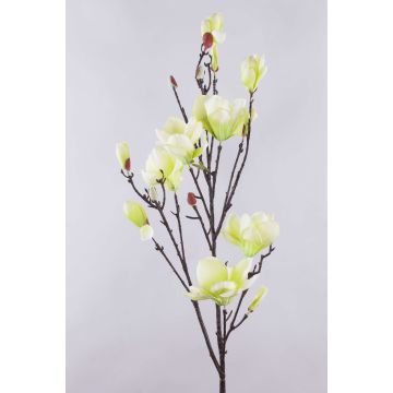 Magnolienzweig künstlich YONA, creme-grün, 130cm, Ø5-15cm Magnolienzweig künstlich YONA, creme-grün, 130cm, Ø5-15cm