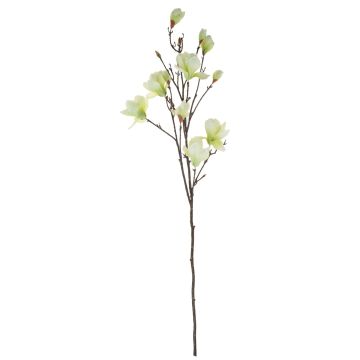 Magnolienzweig künstlich YONA, creme-grün, 130cm, Ø5-15cm