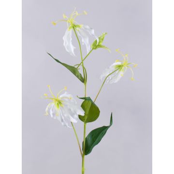 Künstliche Blume Gloriosa MAFIRNA, weiß-grün, 80cm Künstliche Blume Gloriosa MAFIRNA, weiß-grün, 80cm