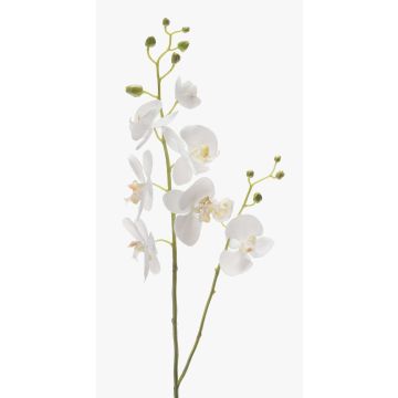 Phalaenopsis Orchideezweig künstlich LAHNA, weiß, 95cm, Ø5-10cm