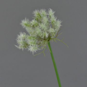 Dekoblume Pusteblume BAOJI, creme, 70cm, Ø11cm