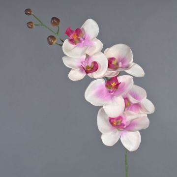 Dekozweig Phalaenopsis Orchidee LANUA, creme-rosa, 70cm, Ø8,5-12cm