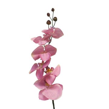 Dekozweig Phalaenopsis Orchidee LANUA, rosa, 70cm, Ø8,5-12cm