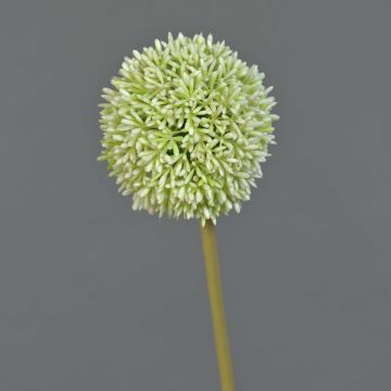Künstliche Blume Allium BAILIN, creme-grün, 65cm, Ø10cm
