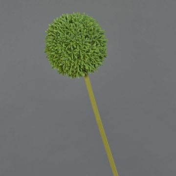 Künstliche Blume Allium BAILIN, grün, 65cm, Ø10cm