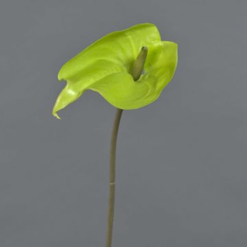 Künstliche Blume Anthurium FEIWU, hellgrün, 65cm, 10x14cm