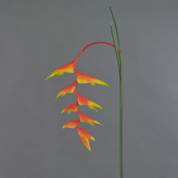 Dekoblume Heliconia Blüte MEIHUA, orange-gelb-grün, 95cm, Ø30cm