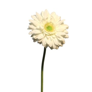 Künstliche Blume Gerbera QIUDONG, creme, 50cm, Ø12cm