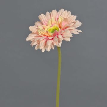 Künstliche Blume Gerbera QIUDONG, pfirsich-rosa, 50cm, Ø12cm