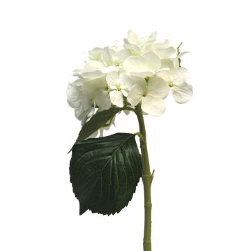 Künstliche Blume Hortensie XINCHENG, weiß, 50cm, Ø15cm