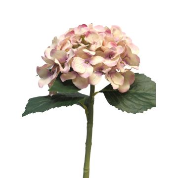 Künstliche Blume Hortensie XINCHENG, altrosa-creme, 50cm, Ø15cm