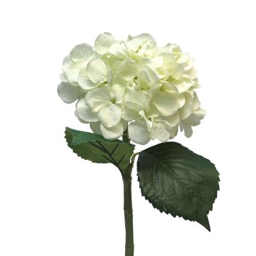 Künstliche Blume Hortensie FUXIANG, creme, 50cm, Ø16cm
