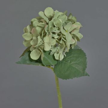 Künstliche Blume Hortensie FUXIANG, grün-rosa, 50cm, Ø16cm
