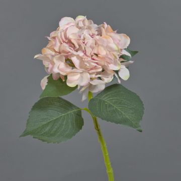 Künstliche Blume Hortensie FUXIANG, rosa-creme, 50cm, Ø16cm