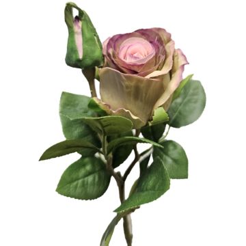 Rose künstlich BARIADY, violett-grün, 35cm, Ø5,5cm Rose künstlich BARIADY, violett-grün, 35cm, Ø5,5cm