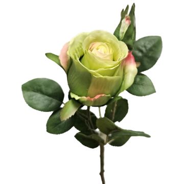 Rose künstlich BARIADY, grün-pink, 35cm, Ø5,5cm Rose künstlich BARIADY, grün-pink, 35cm, Ø5,5cm