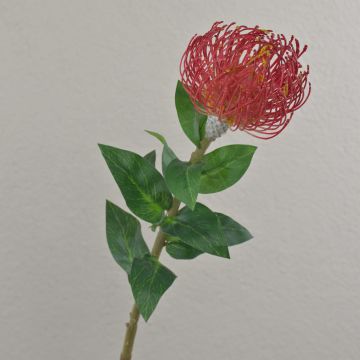 Kunstblume Nadelkissen Protea XIFANG, rot, 75cm, Ø10cm