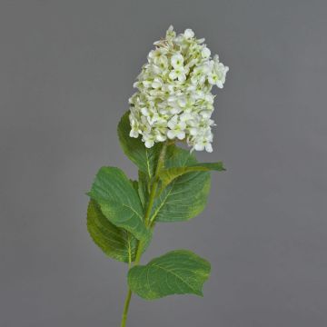Künstliche Blume Hortensie Paniculata YANGDAN, weiß-grün, 85cm, Ø12cm
