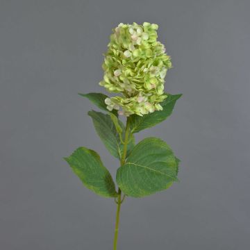 Künstliche Blume Hortensie Paniculata YANGDAN, hellgrün-creme-rosa, 85cm, Ø12cm