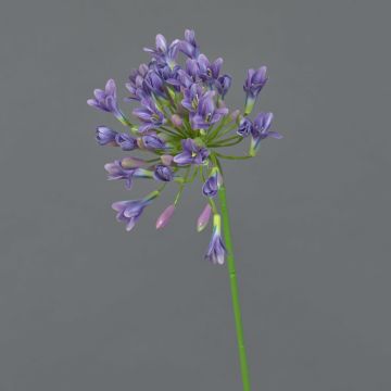 Deko Kunstblume Agapanthus PHILINA, lila-blau, 75cm, Ø14cm