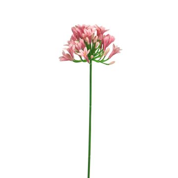 Deko Kunstblume Agapanthus PHILINA, rosa, 75cm, Ø14cm