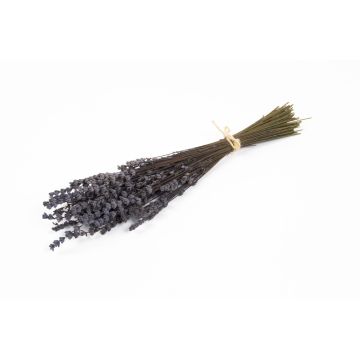 Getrockneter Lavendel Strauß AMAYANTE, lila, 35cm, Ø10cm