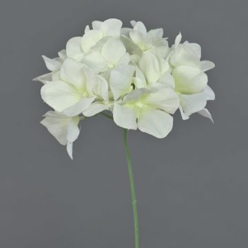Dekoblume Hortensie FUHUA, creme, 23cm, Ø14cm