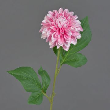 Künstliche Blume Dahlie WANRU, rosa-weiß, 50cm, Ø9cm