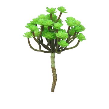 Deko Echeveria macdougallii ULUO auf Steckstab, grün, 19cm