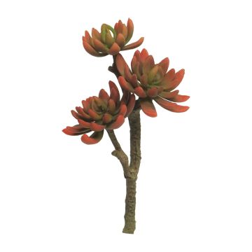 Kunst Echeveria elegans FEIFANG auf Steckstab, rot-grün, 30cm