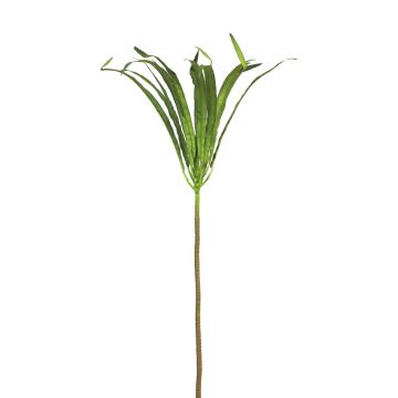 Künstliche Dracaena Marginata ZIHAO, grün, 85cm