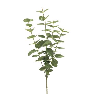 Künstlicher Zweig Eukalyptus MINJIA, grün-grau, 65cm
