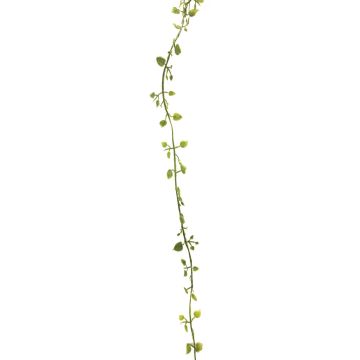 Künstliche Girlande Mühlenbeckia JIAMIN, grün-grau, 240cm