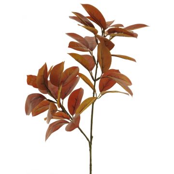Kunstzweig Zitrone LINXIA, braun-rot, 75cm