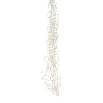 Deko Sukkulente Tillandsia Usneoides JUANYU, creme, 100cm