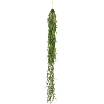 Deko Hänger Asparagus sprengeri LINGLI, grün, 95cm